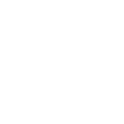 Apple Pay